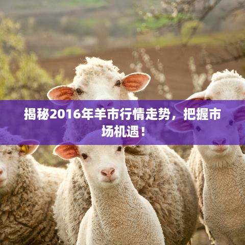 揭秘2016年羊市行情走勢，把握市場機遇！