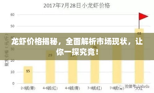 龍蝦價格揭秘，全面解析市場現狀，讓你一探究竟！