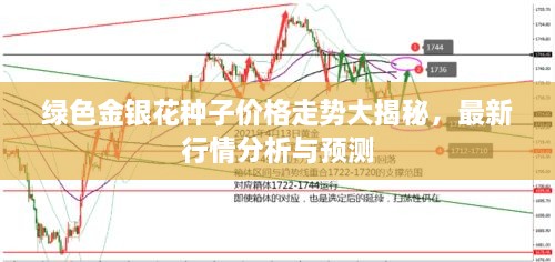 綠色金銀花種子價(jià)格走勢(shì)大揭秘，最新行情分析與預(yù)測(cè)