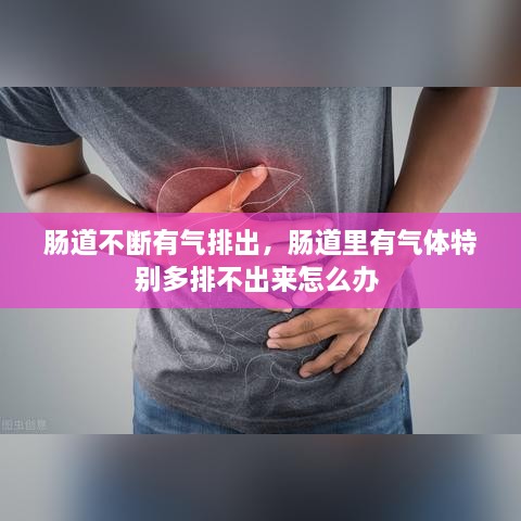 腸道不斷有氣排出，腸道里有氣體特別多排不出來怎么辦 