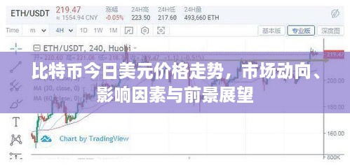 比特幣今日美元價(jià)格走勢(shì)，市場(chǎng)動(dòng)向、影響因素與前景展望