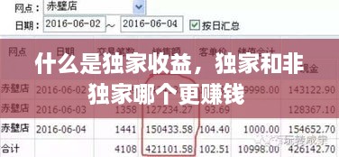 什么是獨(dú)家收益，獨(dú)家和非獨(dú)家哪個(gè)更賺錢 