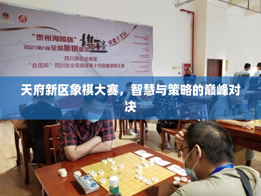 天府新區(qū)象棋大賽，智慧與策略的巔峰對(duì)決