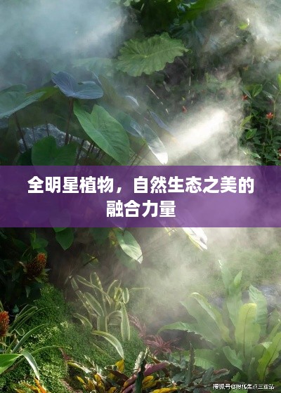 全明星植物，自然生態(tài)之美的融合力量