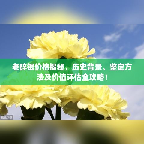 老碎銀價格揭秘，歷史背景、鑒定方法及價值評估全攻略！