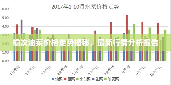 榆次油菜價(jià)格走勢(shì)揭秘，最新行情分析報(bào)告