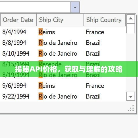 揭秘API價格，獲取與理解的攻略