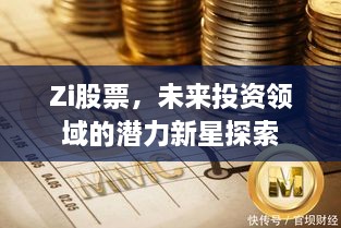 Zi股票，未來(lái)投資領(lǐng)域的潛力新星探索