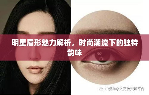 明星眉形魅力解析，時(shí)尚潮流下的獨(dú)特韻味