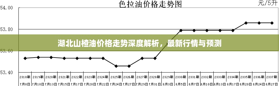 湖北山楂油價(jià)格走勢深度解析，最新行情與預(yù)測