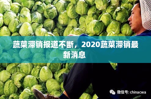 蔬菜滯銷報(bào)道不斷，2020蔬菜滯銷最新消息 