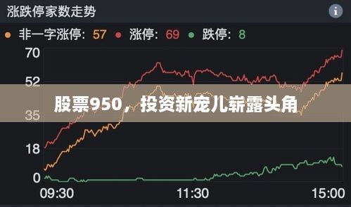 股票950，投資新寵兒嶄露頭角