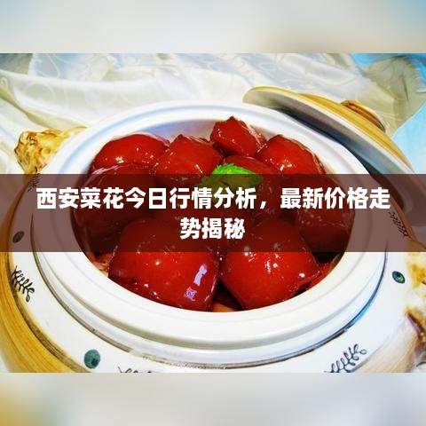 西安菜花今日行情分析，最新價(jià)格走勢揭秘