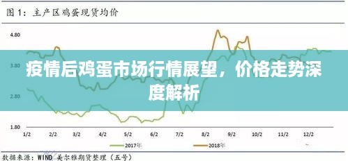 疫情后雞蛋市場行情展望，價格走勢深度解析