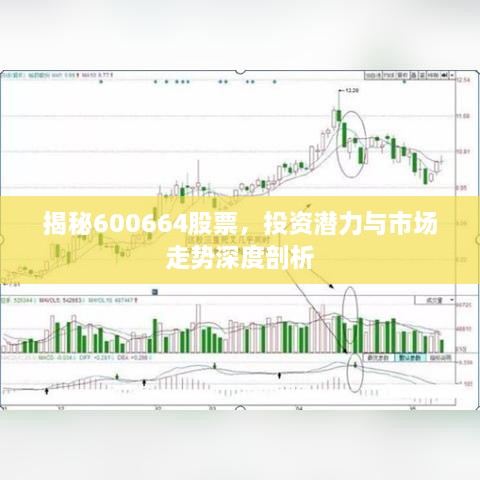 揭秘600664股票，投資潛力與市場走勢深度剖析