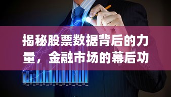 揭秘股票數(shù)據(jù)背后的力量，金融市場的幕后功臣