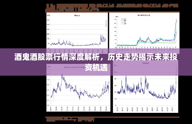 酒鬼酒股票行情深度解析，歷史走勢揭示未來投資機(jī)遇