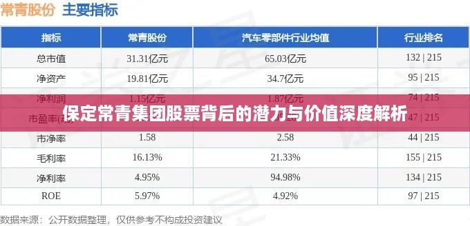 保定常青集團(tuán)股票背后的潛力與價(jià)值深度解析