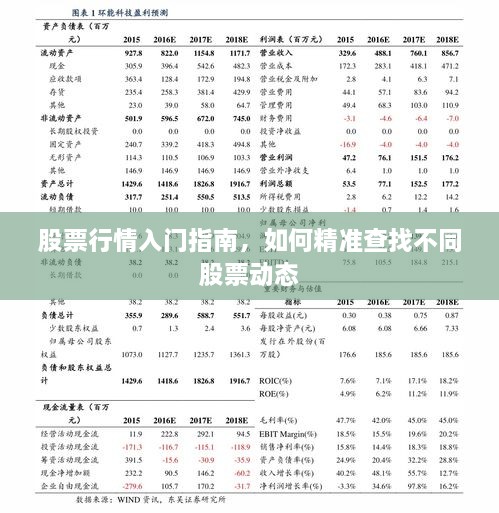 股票行情入門指南，如何精準(zhǔn)查找不同股票動(dòng)態(tài)