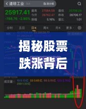 揭秘股票跌漲背后的風(fēng)險(xiǎn)與策略，如何巧妙應(yīng)對(duì)股市波動(dòng)？