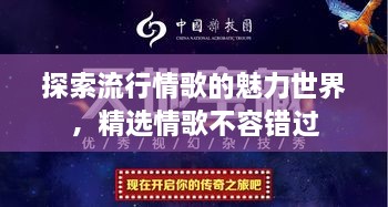 探索流行情歌的魅力世界，精選情歌不容錯(cuò)過