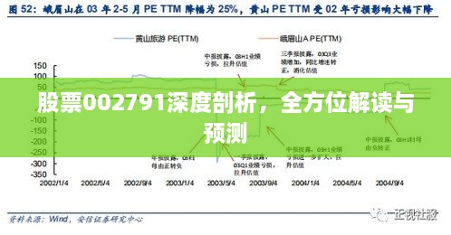 股票002791深度剖析，全方位解讀與預(yù)測