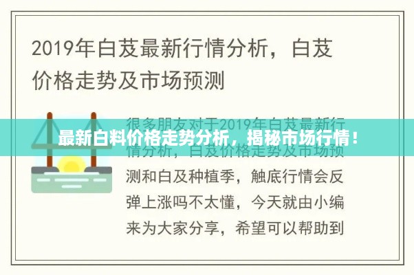 最新白料價格走勢分析，揭秘市場行情！