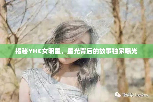 揭秘YHC女明星，星光背后的故事獨(dú)家曝光