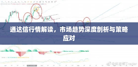 通達(dá)信行情解讀，市場(chǎng)趨勢(shì)深度剖析與策略應(yīng)對(duì)