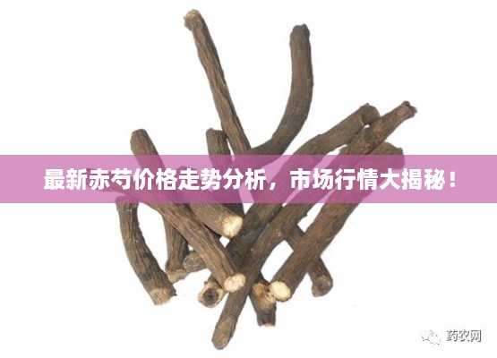 最新赤芍價(jià)格走勢(shì)分析，市場(chǎng)行情大揭秘！