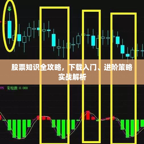 股票知識全攻略，下載入門、進(jìn)階策略實戰(zhàn)解析