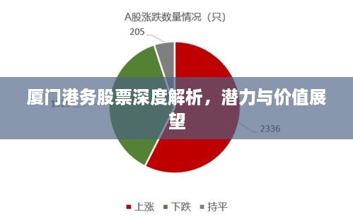 廈門港務股票深度解析，潛力與價值展望