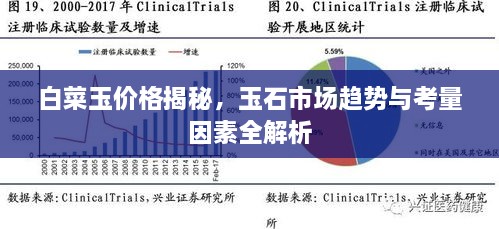 白菜玉價(jià)格揭秘，玉石市場趨勢與考量因素全解析