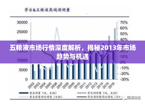 五糧液市場行情深度解析，揭秘2013年市場趨勢與機遇