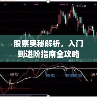 股票奧秘解析，入門到進階指南全攻略