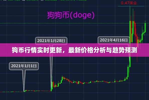 狗幣行情實(shí)時(shí)更新，最新價(jià)格分析與趨勢(shì)預(yù)測(cè)