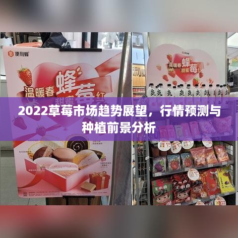 2022草莓市場(chǎng)趨勢(shì)展望，行情預(yù)測(cè)與種植前景分析