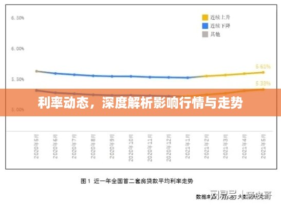 利率動態(tài)，深度解析影響行情與走勢