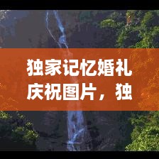 獨家記憶婚禮慶祝圖片，獨家記憶圖片唯美 