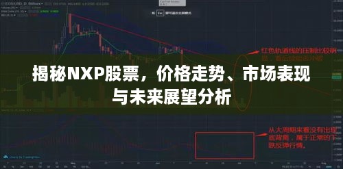 揭秘NXP股票，價格走勢、市場表現(xiàn)與未來展望分析