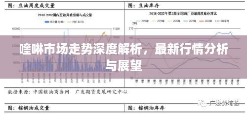 喹啉市場(chǎng)走勢(shì)深度解析，最新行情分析與展望