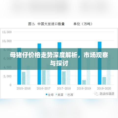 母豬仔價(jià)格走勢深度解析，市場觀察與探討