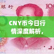 CNY幣今日行情深度解析，最新價格動態(tài)一網(wǎng)打盡！