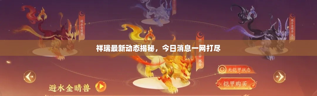 祥瑞最新動態(tài)揭秘，今日消息一網打盡