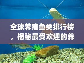 全球養(yǎng)殖魚類排行榜，揭秘最受歡迎的養(yǎng)殖魚類種類！