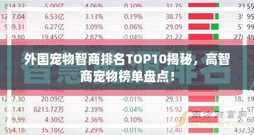 外國寵物智商排名TOP10揭秘，高智商寵物榜單盤點(diǎn)！