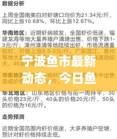 寧波魚市最新動態(tài)，今日魚價、市場走勢及影響因素全解析