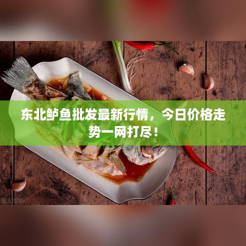 東北鱸魚批發(fā)最新行情，今日價(jià)格走勢一網(wǎng)打盡！