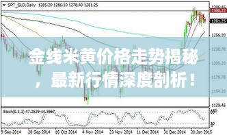 金線米黃價格走勢揭秘，最新行情深度剖析！