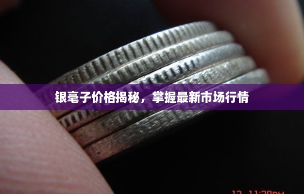 銀毫子價(jià)格揭秘，掌握最新市場(chǎng)行情